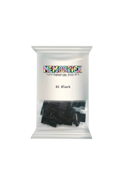 Bag Of Bricks -Black 01