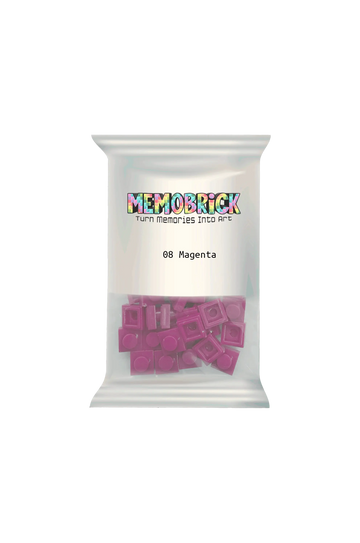 Bag of Bricks -Magenta 08 - Memobrick