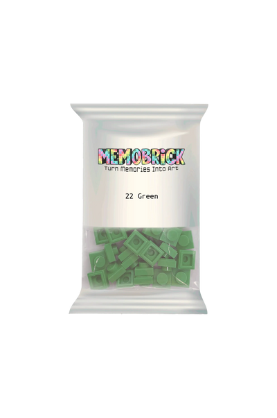 Bag of bricks- Green 22