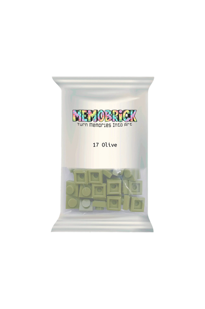 Bag of bricks- Olive Green 17