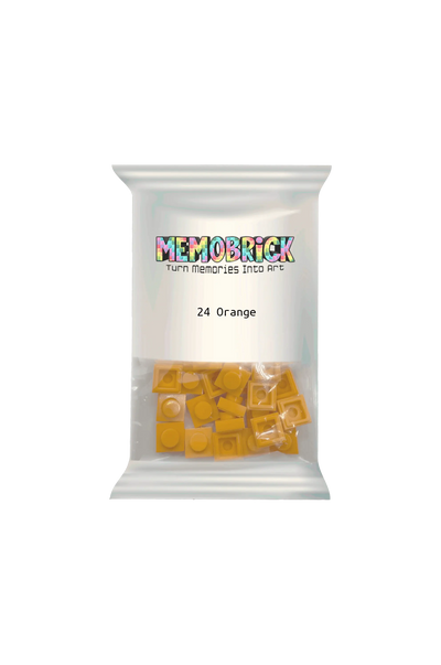 Bag of bricks-Orange 24